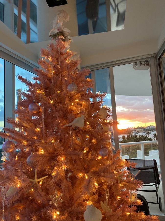 Pink Christmas tree at sunset, Miami