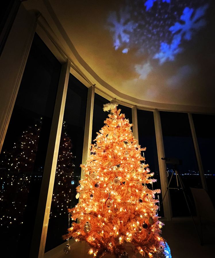 Pink tree at night with snowflake projections, Miami