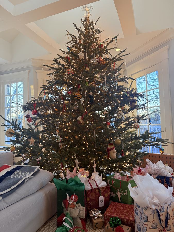 Big tree in the white living room, presents beneath