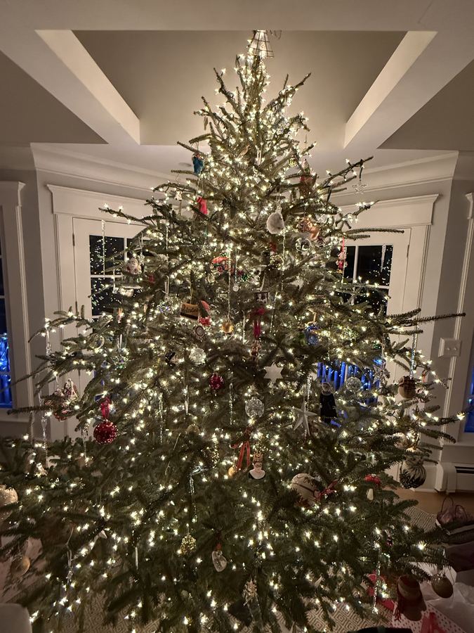 Tree by night, lights on, ornaments close