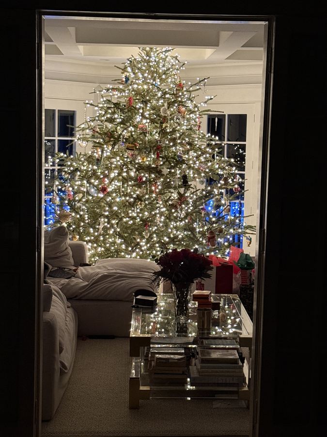 Tree seen through the doorway, glowing